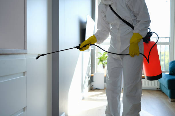 Certified Mold Removal in Sands Point, NY